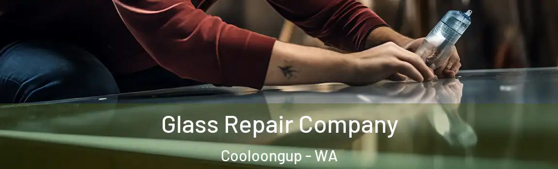 Glass Repair Company Cooloongup - WA