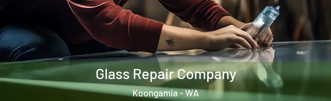 Glass Repair Company Koongamia - WA
