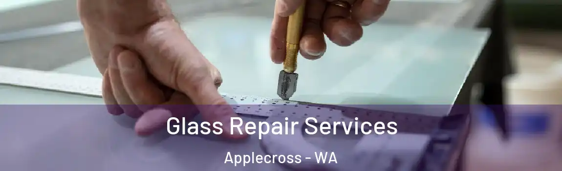 Glass Repair Services Applecross - WA