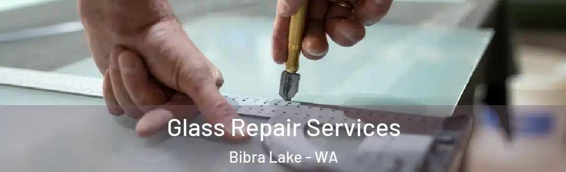 Glass Repair Services Bibra Lake - WA