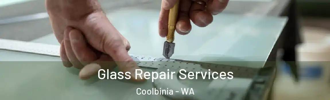 Glass Repair Services Coolbinia - WA