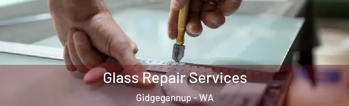 Glass Repair Services Gidgegannup - WA