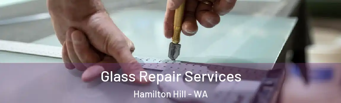 Glass Repair Services Hamilton Hill - WA