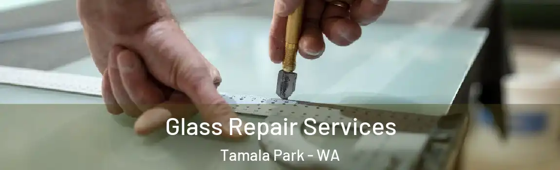 Glass Repair Services Tamala Park - WA