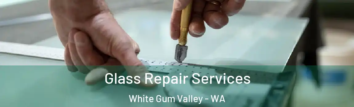 Glass Repair Services White Gum Valley - WA