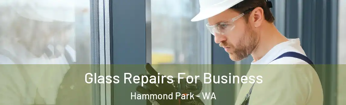  Glass Repairs For Business Hammond Park - WA