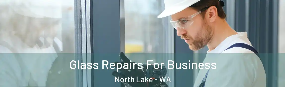Glass Repairs For Business North Lake - WA