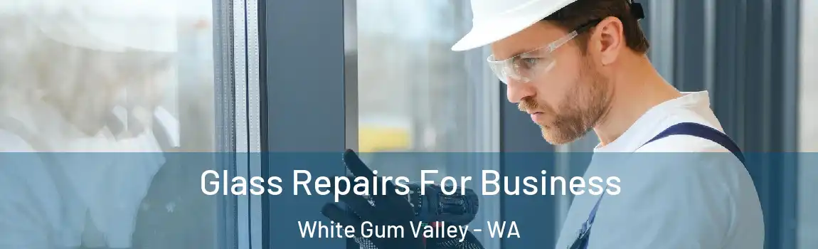 Glass Repairs For Business White Gum Valley - WA