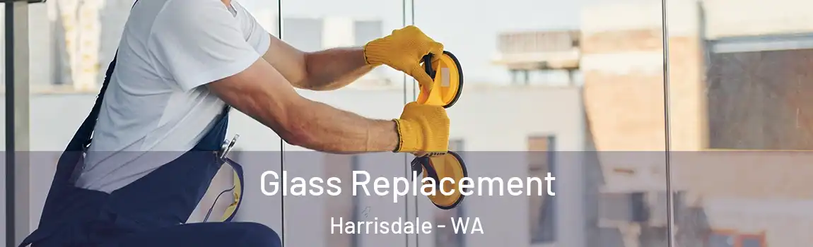 Glass Replacement Harrisdale - WA