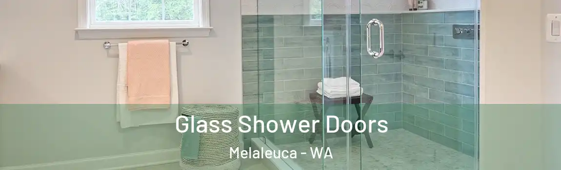 Glass Shower Doors Melaleuca - WA