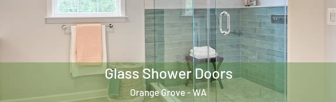 Glass Shower Doors Orange Grove - WA