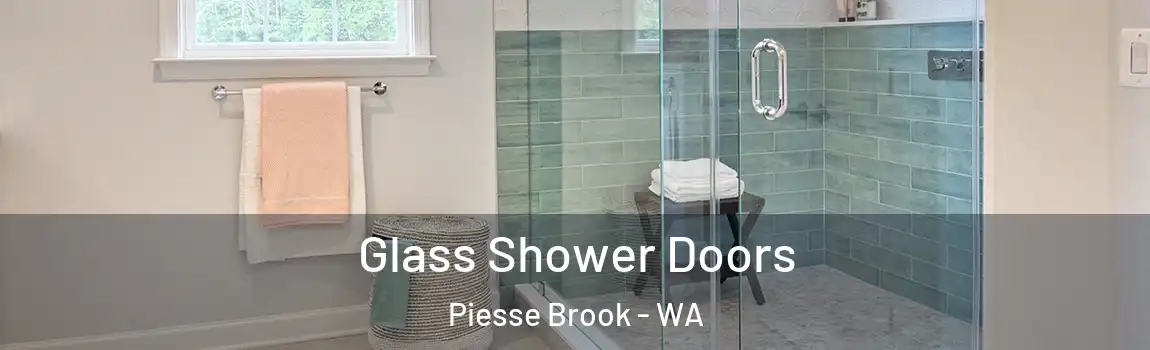 Glass Shower Doors Piesse Brook - WA