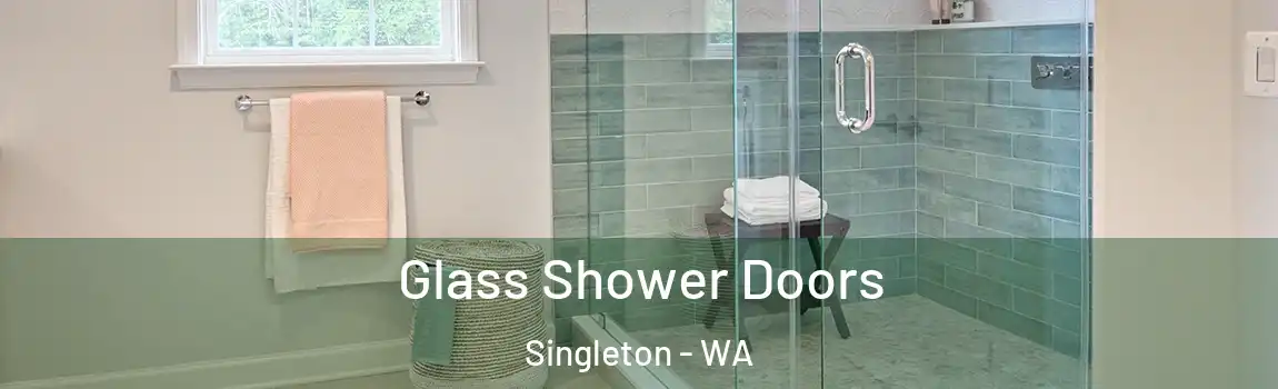 Glass Shower Doors Singleton - WA