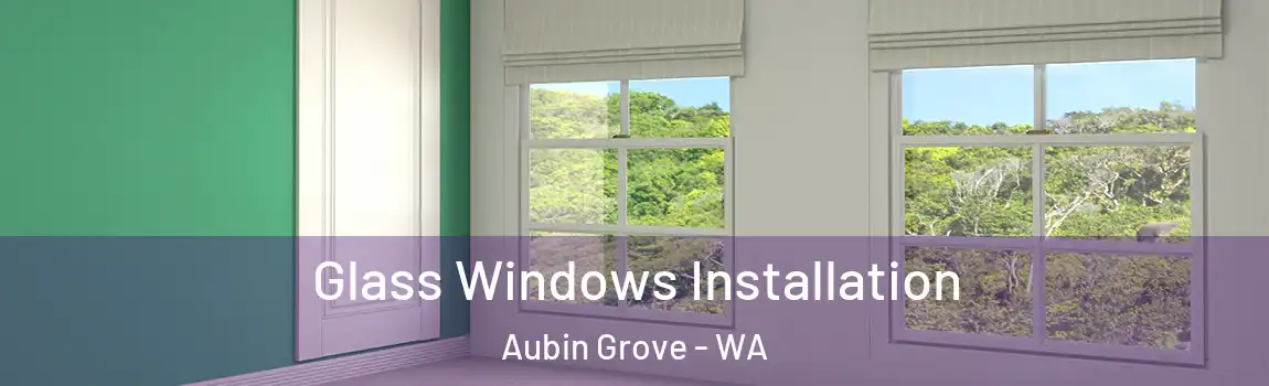 Glass Windows Installation Aubin Grove - WA