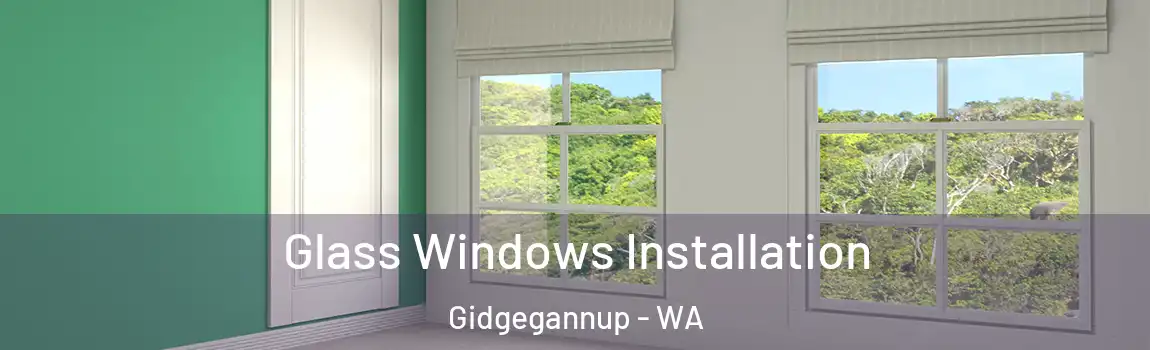 Glass Windows Installation Gidgegannup - WA