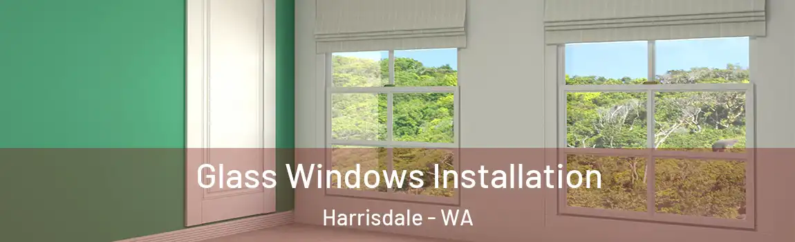 Glass Windows Installation Harrisdale - WA