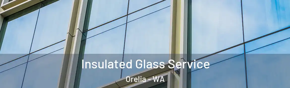  Insulated Glass Service Orelia - WA