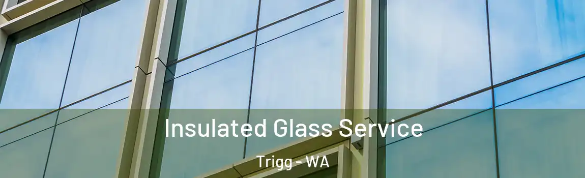 Insulated Glass Service Trigg - WA