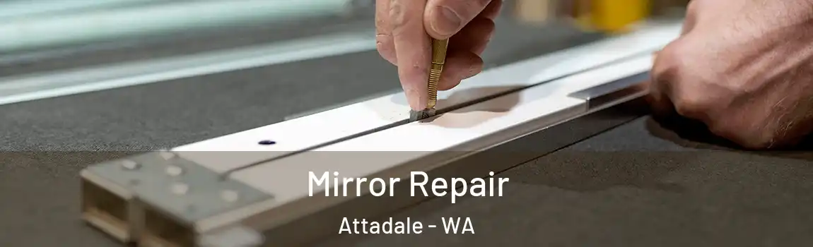 Mirror Repair Attadale - WA