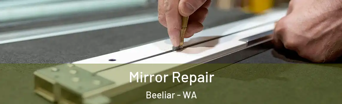 Mirror Repair Beeliar - WA