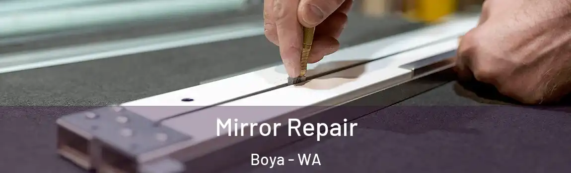 Mirror Repair Boya - WA