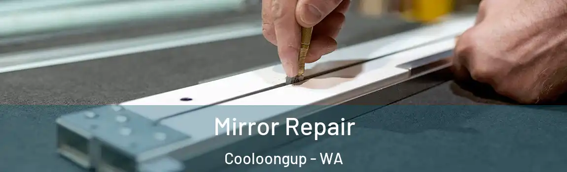  Mirror Repair Cooloongup - WA