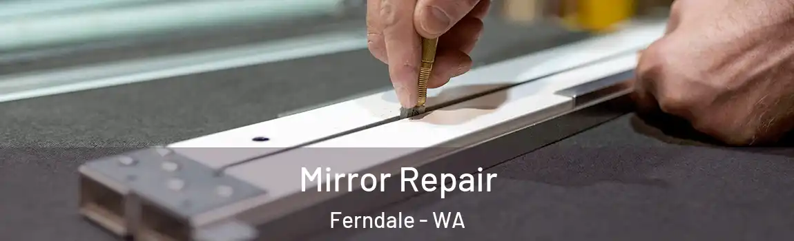 Mirror Repair Ferndale - WA