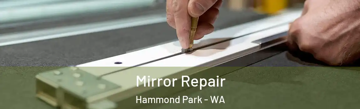  Mirror Repair Hammond Park - WA