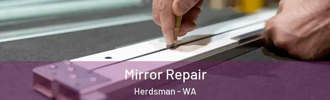 Mirror Repair Herdsman - WA
