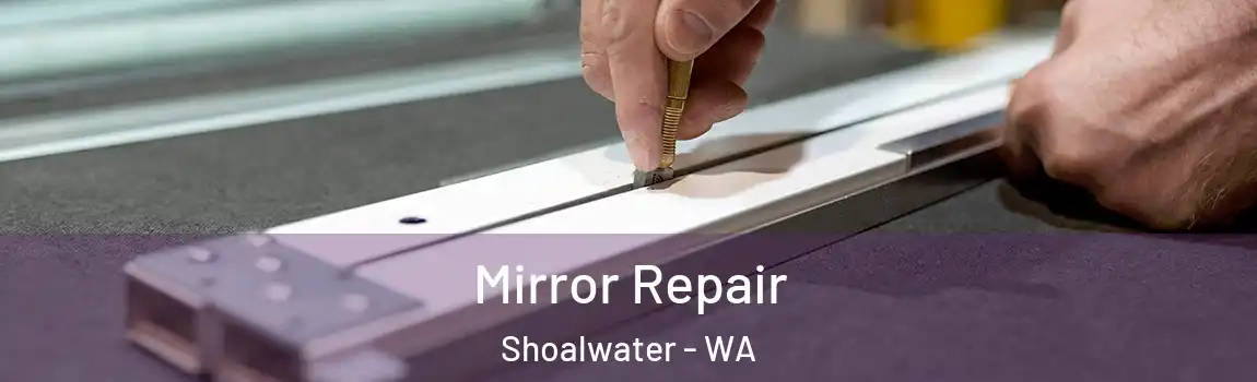 Mirror Repair Shoalwater - WA