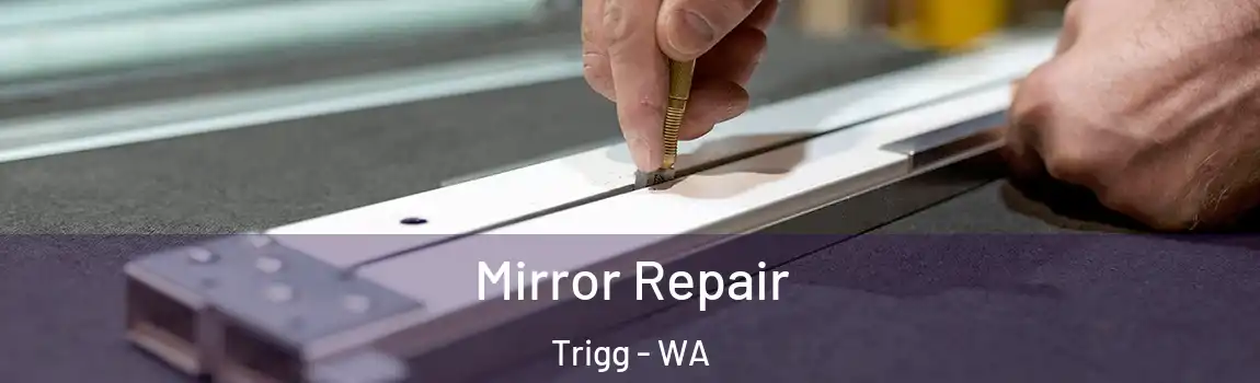 Mirror Repair Trigg - WA