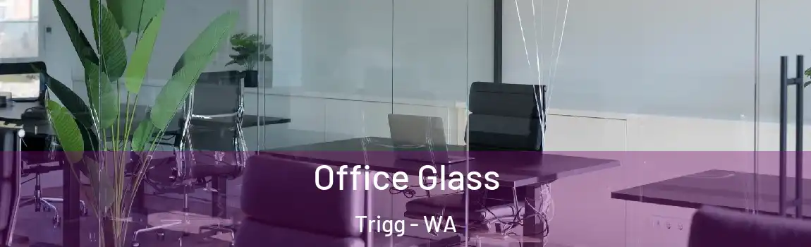 Office Glass Trigg - WA