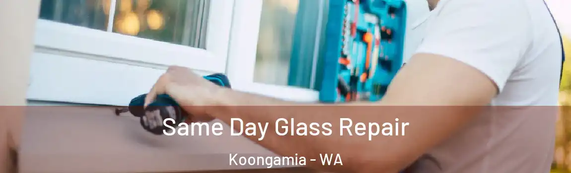 Same Day Glass Repair Koongamia - WA