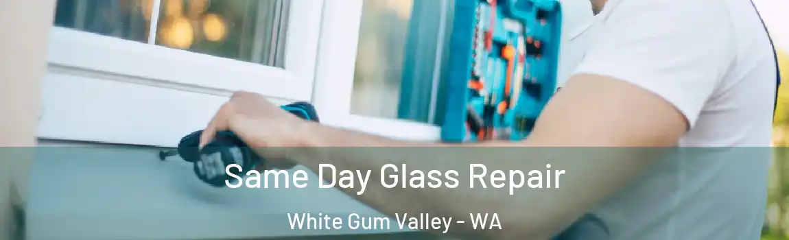 Same Day Glass Repair White Gum Valley - WA