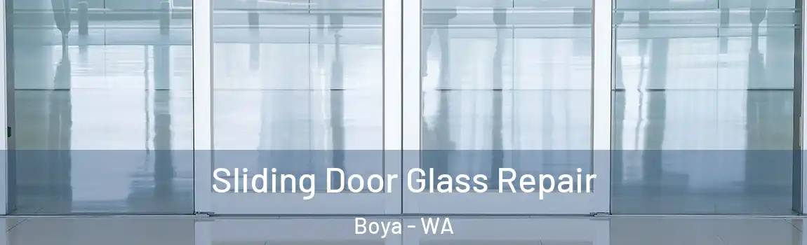 Sliding Door Glass Repair Boya - WA