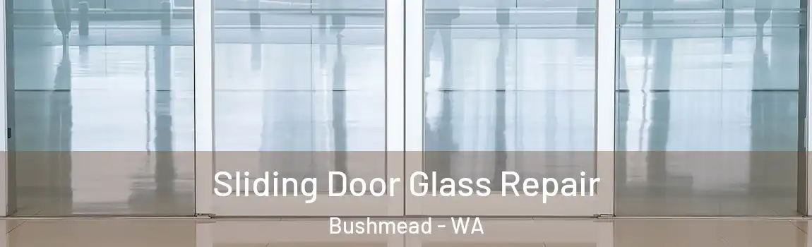 Sliding Door Glass Repair Bushmead - WA