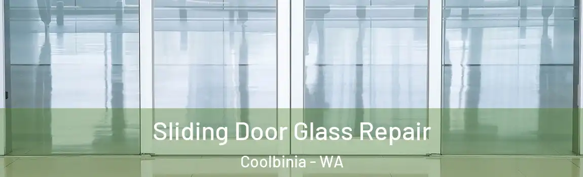 Sliding Door Glass Repair Coolbinia - WA