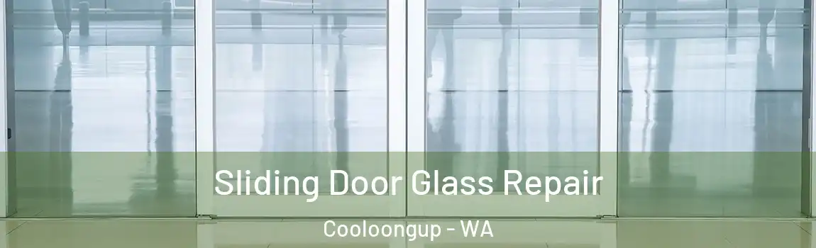 Sliding Door Glass Repair Cooloongup - WA