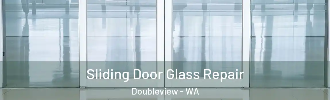 Sliding Door Glass Repair Doubleview - WA