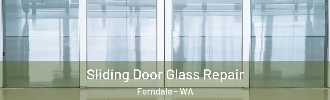 Sliding Door Glass Repair Ferndale - WA