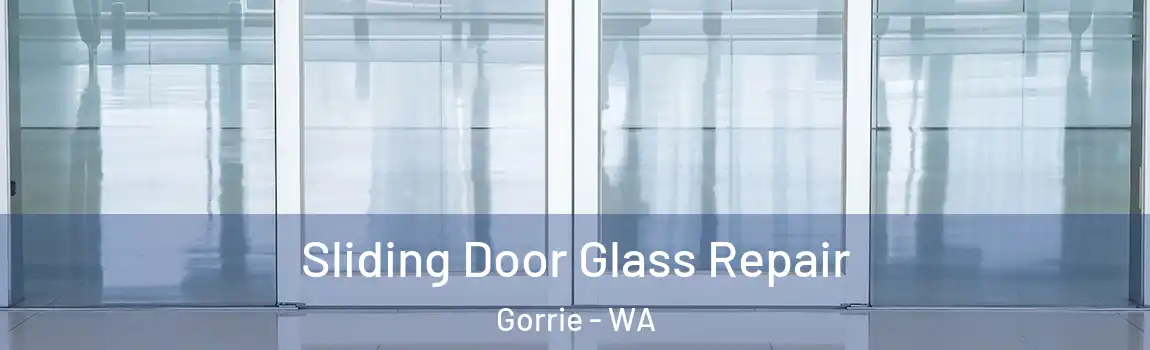 Sliding Door Glass Repair Gorrie - WA