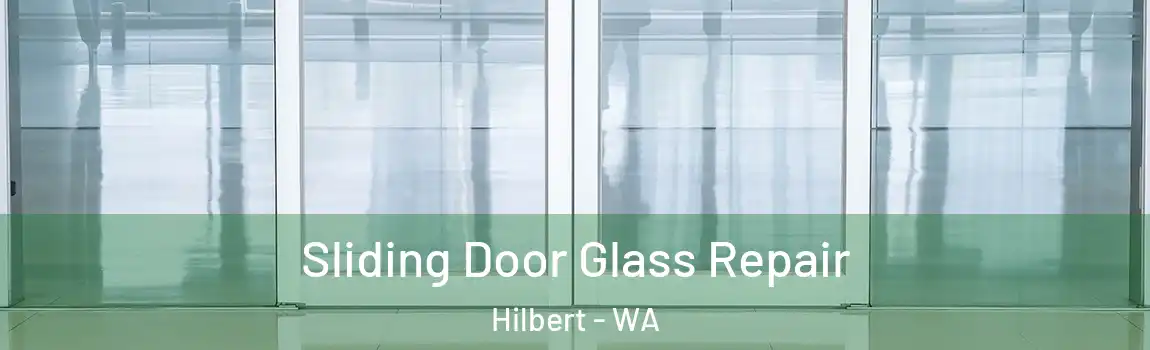 Sliding Door Glass Repair Hilbert - WA