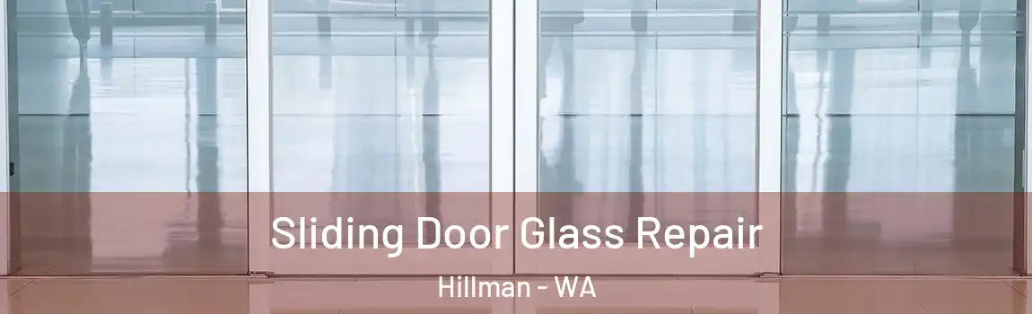 Sliding Door Glass Repair Hillman - WA