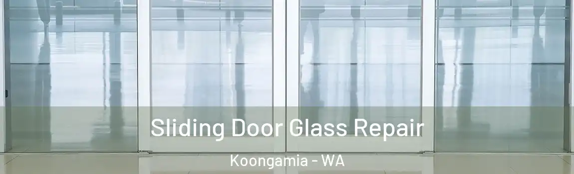 Sliding Door Glass Repair Koongamia - WA