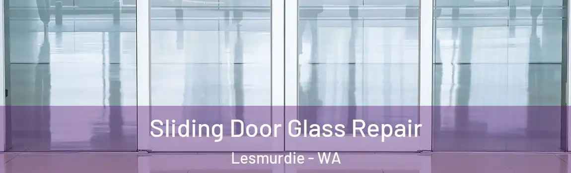 Sliding Door Glass Repair Lesmurdie - WA