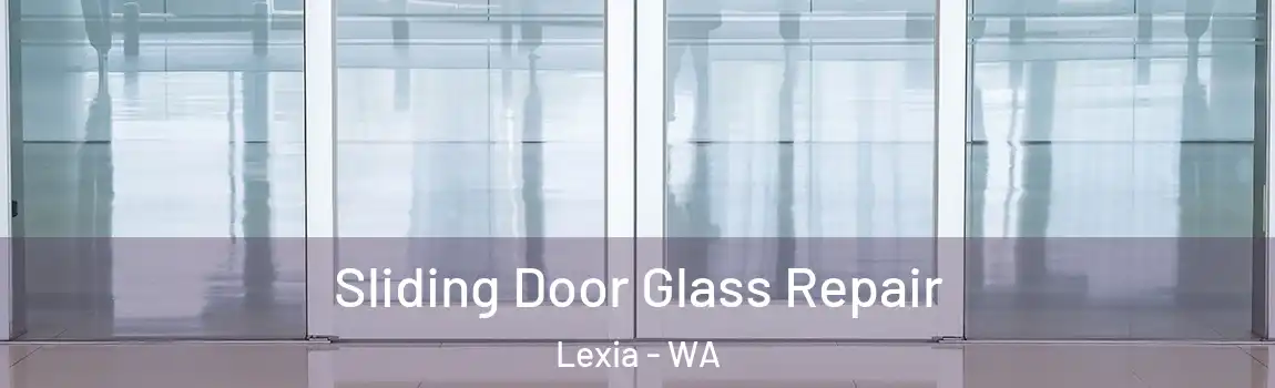 Sliding Door Glass Repair Lexia - WA