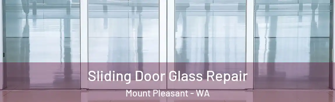Sliding Door Glass Repair Mount Pleasant - WA