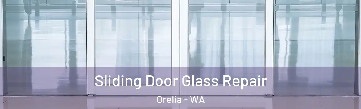 Sliding Door Glass Repair Orelia - WA