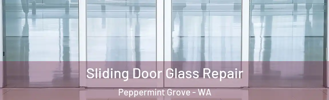 Sliding Door Glass Repair Peppermint Grove - WA
