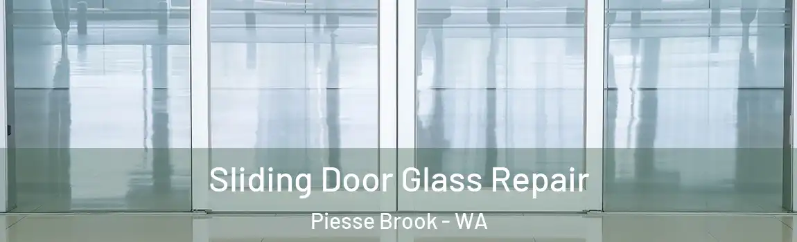 Sliding Door Glass Repair Piesse Brook - WA